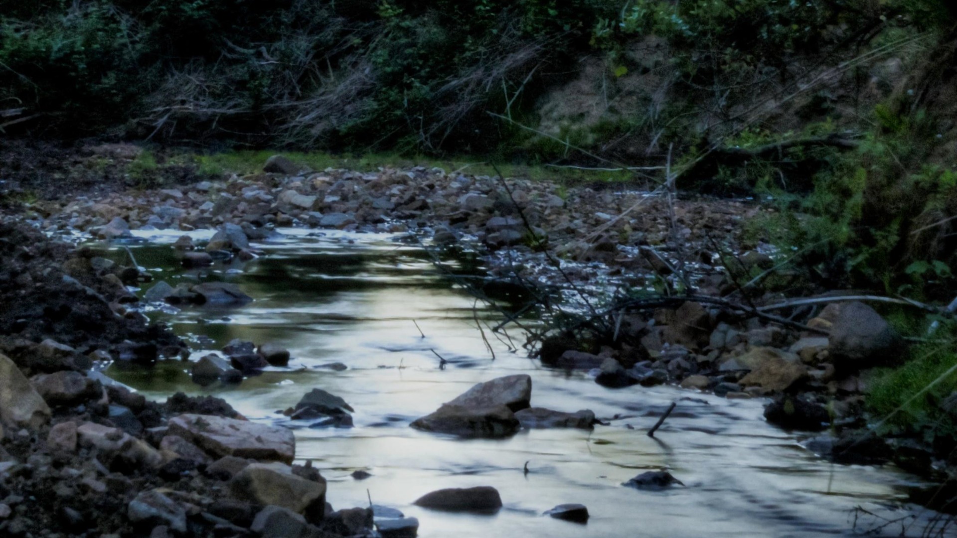 Amanece sobre río de aguas claras entre rocas, con vegetación densa y ramas inclinadas sobre la corriente.